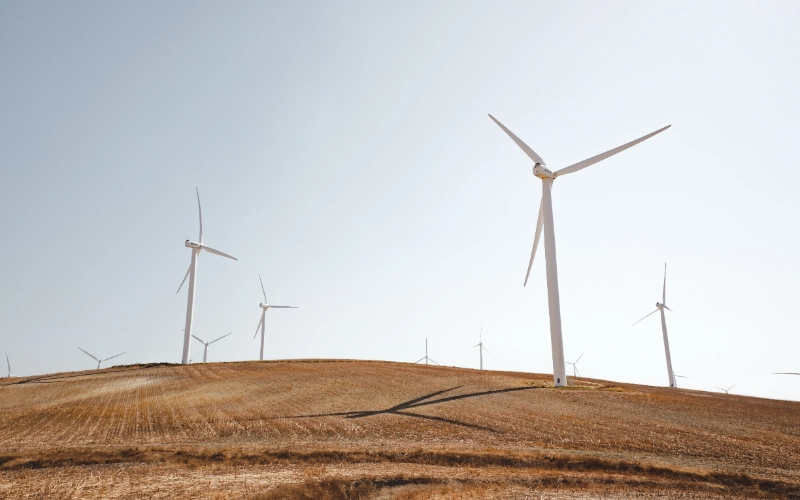 ¿Cómo debo conducir con viento?