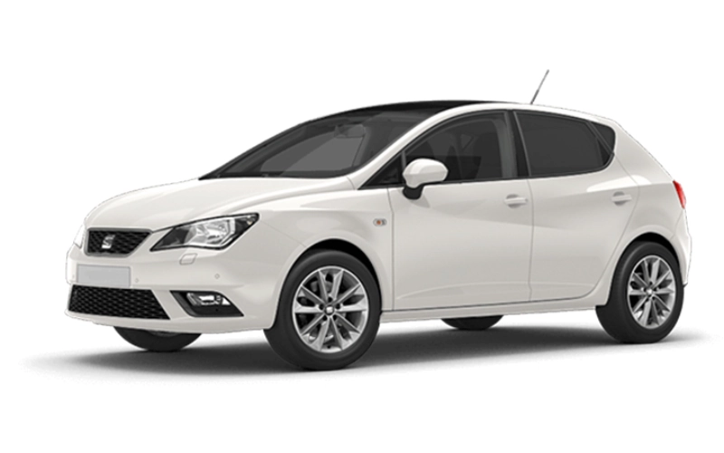 Coches ECO Seat Ibiza TGI