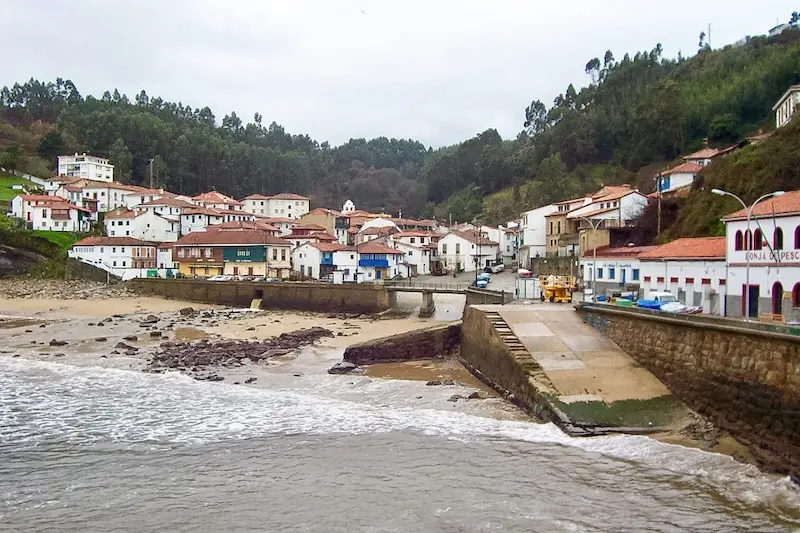 tazones